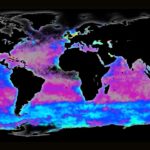 Imagen de Sarah Rosengard