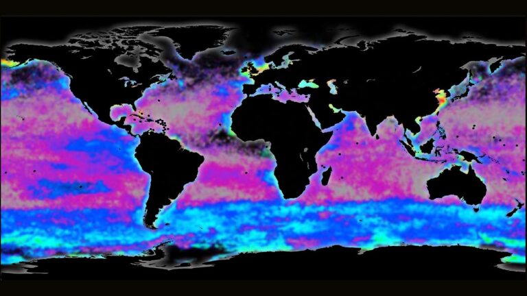 Imagen de Sarah Rosengard